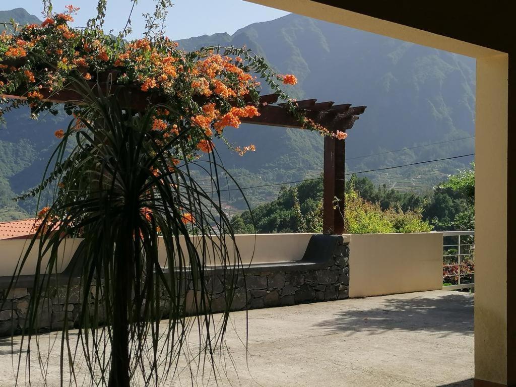 Casa Das Ginjas São Vicente Kültér fotó